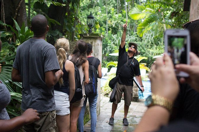 Bites of Nassau Food and Walking Tour - Timing, Group Size, and the Reality of Walking in Nassau