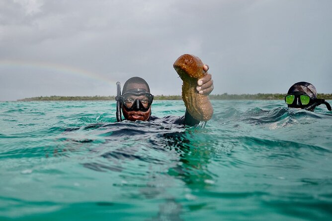 Blue hole, drift snorkeling, turtles Celebration Key is welcome - Stop 4: Sweetings Cay beach time and light refreshments