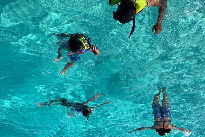Bluefinn242 Swim with the Turtles in Nassau Bahamas - Key things that make this tour work