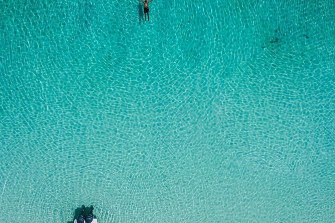 Bluefinn242 Swim with the Turtles in Nassau Bahamas - Green Cay Turtle Island: why this feels special even though it is short