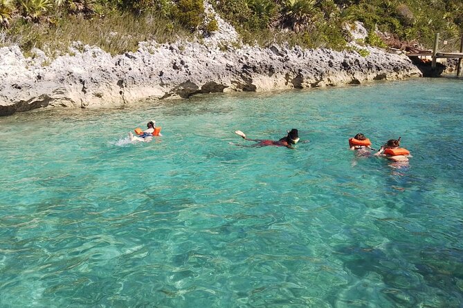 Catamaran Snorkel & Beach Day with Turtles - Stop 1 in Nassau: Harbor Views and Quick History That Helps You Orient Fast