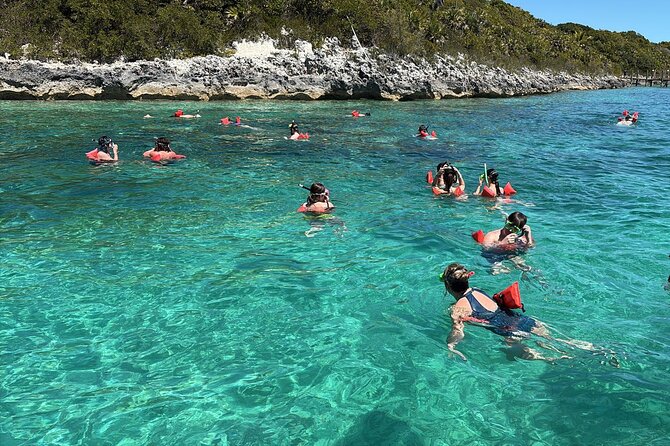 Catamaran Snorkel & Beach Day with Turtles - Green Cay Sanctuary Turtle Spotting: Short Stop, Big Moment