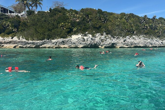 Catamaran Snorkel & Beach Day with Turtles - Guides, Safety, and What a 15-Person Max Really Changes