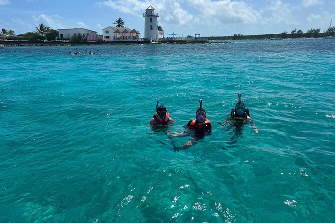 Catamaran Snorkel & Beach Day with Turtles - Montagu Beach Start: Simple Logistics, Short Windows
