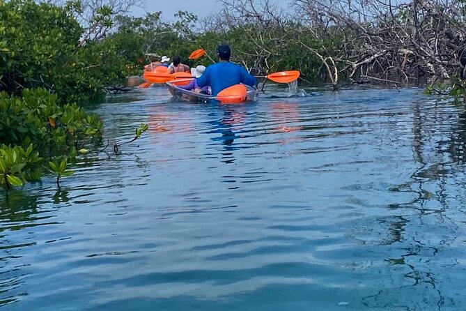 Clear Kayak Tour - Getting to Port Lucaya Marketplace without stress