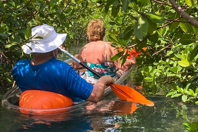 Clear Kayak Tour - Price and value: what $120 buys you on Grand Bahama