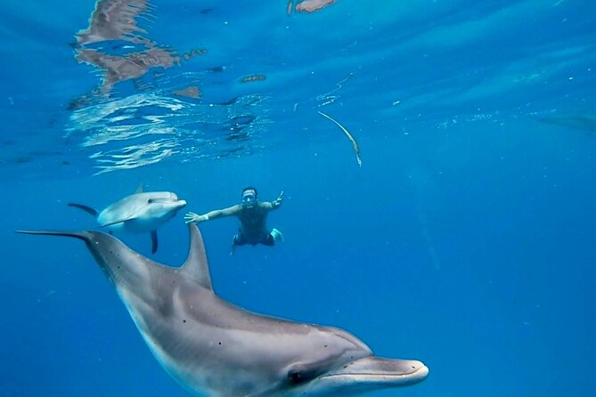 Create-Your-Own Luxury Adventure in Bimini with photographer - Key highlights worth planning around