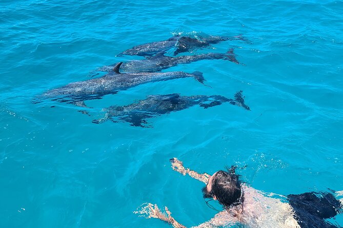 Create-Your-Own Luxury Adventure in Bimini with photographer - Alice Town and the Dolphin House Museum stop