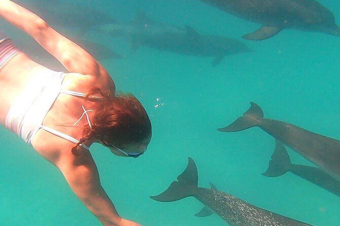 Create-Your-Own Luxury Adventure in Bimini with photographer - Who should book this dolphin adventure