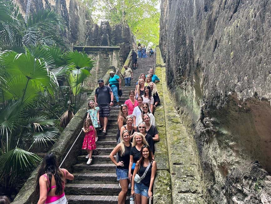 Customizable half day group tour (price per vehicle) - John Watling’s Distillery for Handcrafted Rum