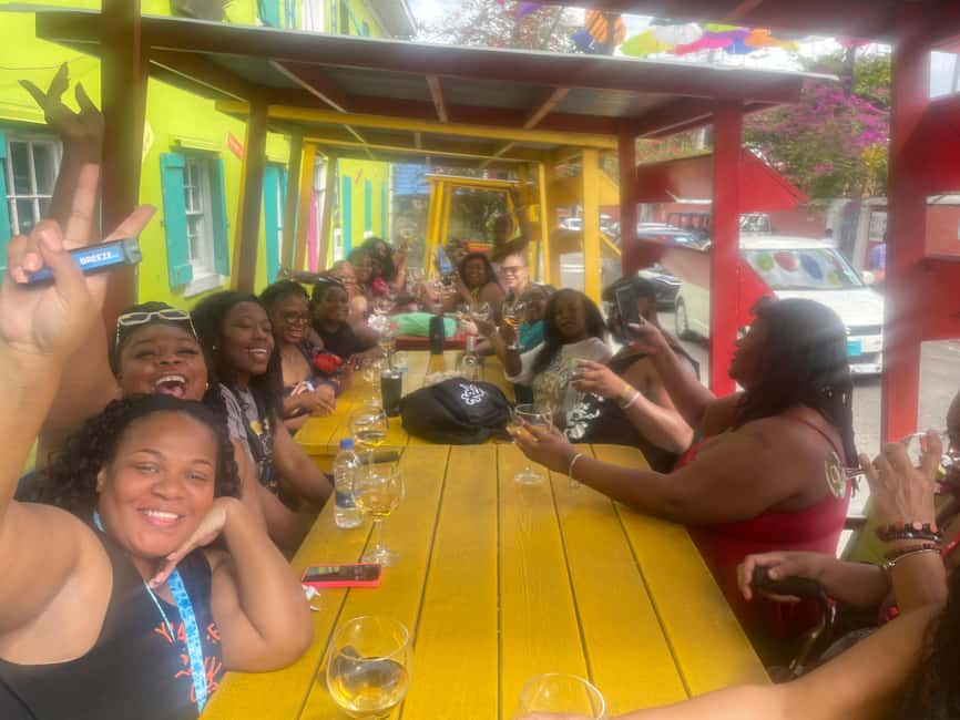 Customizable half day group tour (price per vehicle) - Price and Value for a Nassau Half-Day (Up to 14)