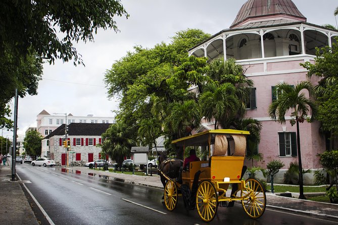 Dilly Dally Walking Tour of Nassau Attractions - John Watling’s Distillery: take a break and sip the local vibe