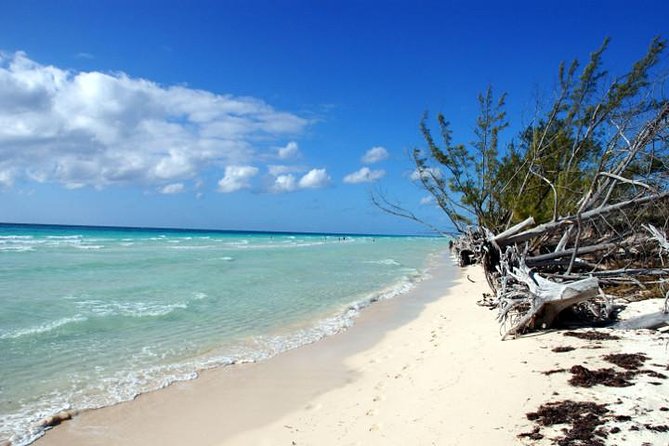 East End Private Day Trip Experience Tour - Key Points Before You Go