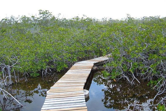 East End Private Day Trip Experience Tour - East End Grand Bahama, Without the Hit-or-Miss Day