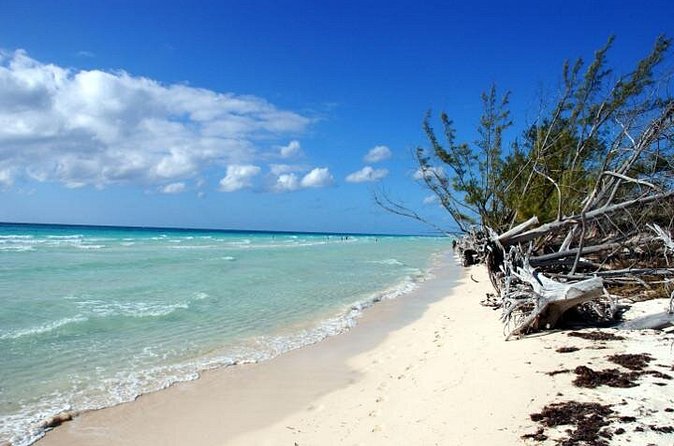 East End Private Day Trip Experience Tour - Lucayan National Park and Gold Rock Beach Picnic Lunch