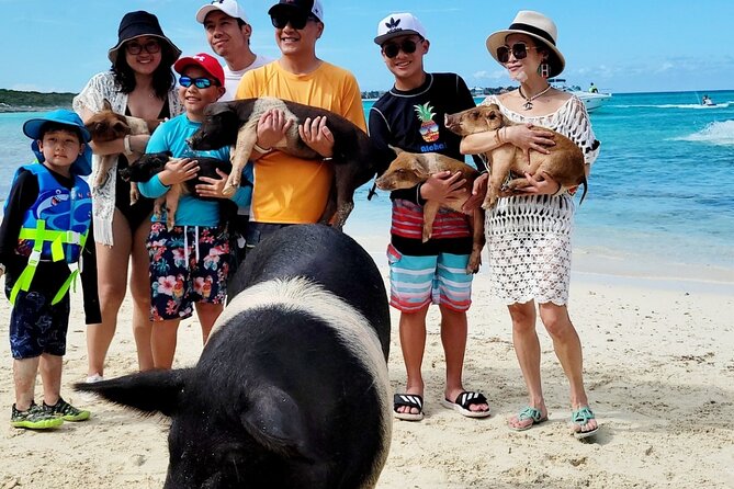 Exotic half day private charters to Rose Island, Pigs and Turtles - Weather and timing: what the short duration means for you
