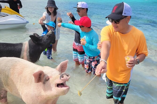 Exotic half day private charters to Rose Island, Pigs and Turtles - Who this charter fits best
