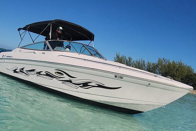 Exotic half day private charters to Rose Island, Pigs and Turtles - Cruising Nassau harbor: it’s not just transit