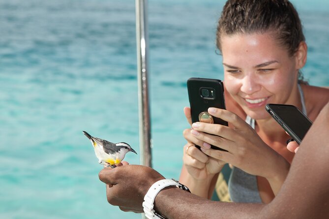 Experience The Exumas and the World Famous Swimming Pigs - A 7:30 am speedboat sprint to the Exuma Cays