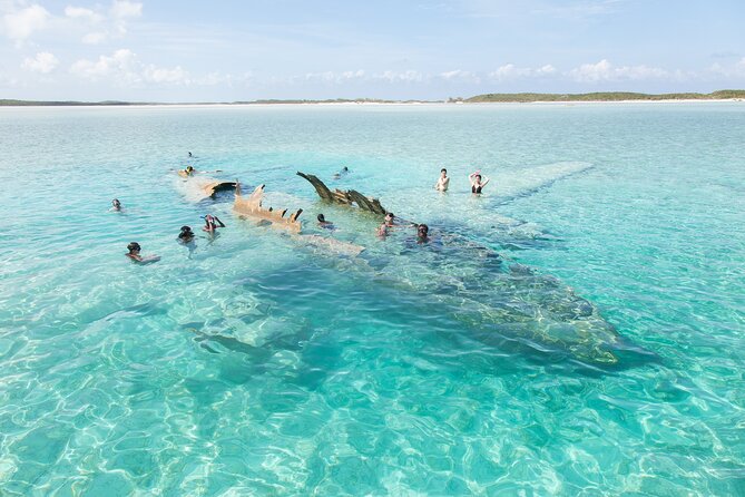 Experience The Exumas and the World Famous Swimming Pigs - Price and value: is $439 worth it?
