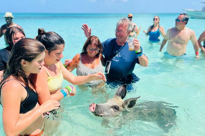 Exuma Day Away - Original Swimming Pigs Excursion - Key Points Before You Go