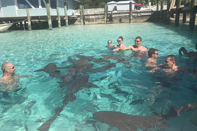 Exuma Day Away - Original Swimming Pigs Excursion - Great Guana Cay: Rock Iguanas and a Fast Wildlife Moment