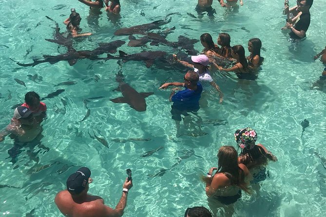 Exuma Day Away - Original Swimming Pigs Excursion - Norman’s Cay Viewpoint: Pablo Escobar Sunken Plane Wreck