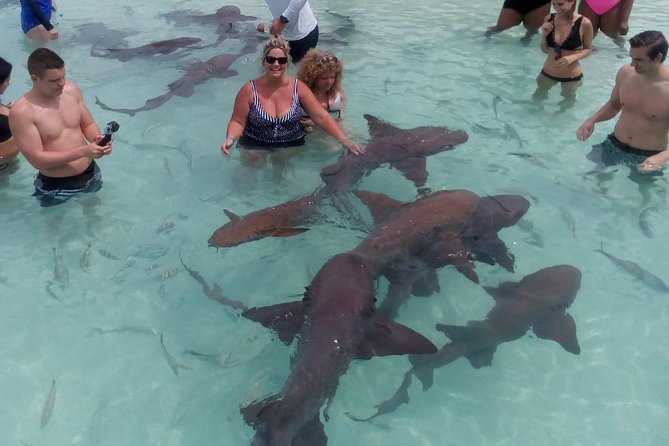 Exuma Day Away - Original Swimming Pigs Excursion - The Powerboat Ride: Comfort, Wind, and Why Sunblock Is Non-Negotiable