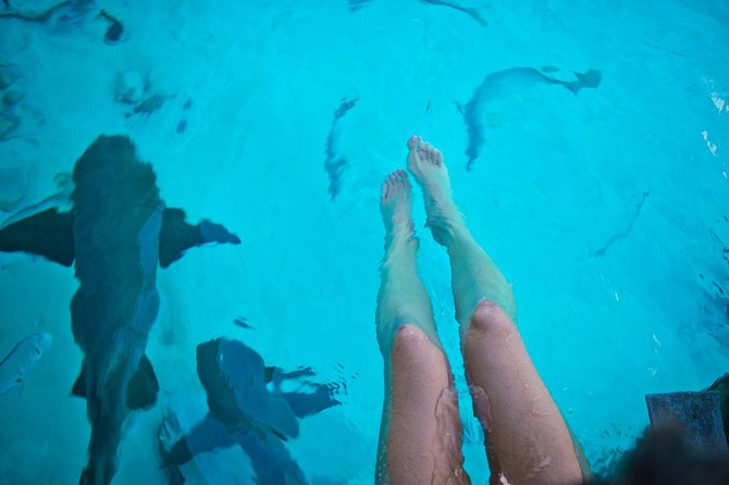 Exuma Elite Escape: Luxury Fly-In Pig Beach Adventure - 7 Stops - Stop 5, Staniel Cay Lunch for a Real Break