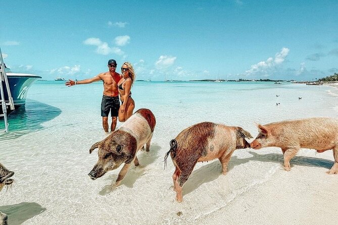 Exuma Full Day Swimming Pigs Group Boat Tour - Key Highlights You’ll Actually Care About