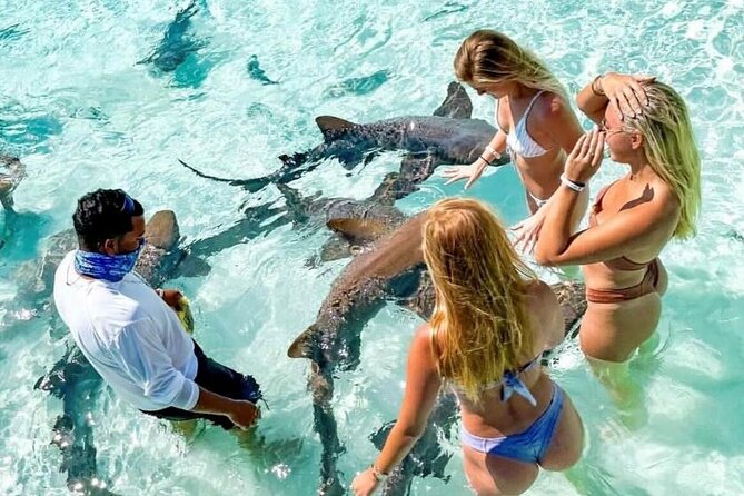 Exuma Full Day Swimming Pigs Group Boat Tour - Allen Cay Rock Iguanas, Then Compass Cay Nurse Sharks Up Close