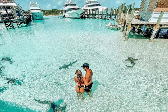 Exuma Full Day Swimming Pigs Group Boat Tour - Price and Value at $499 Per Person, Including Lunch and Drinks
