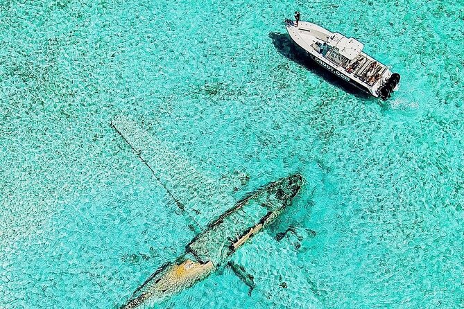 Exuma Full Day Swimming Pigs Group Boat Tour - Pig Beach Swimming Pigs, Plus Time to Walk or Swim