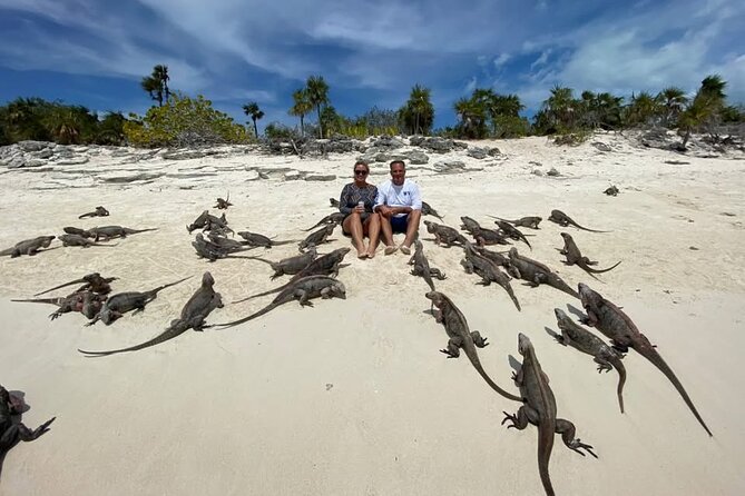 Exuma Island and Cays Tour - Leaf Cay for iguanas: a different side of Exuma wildlife