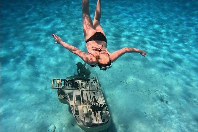 Exuma Island and Cays Tour - Compass Cay nurse sharks: what’s included and what costs extra
