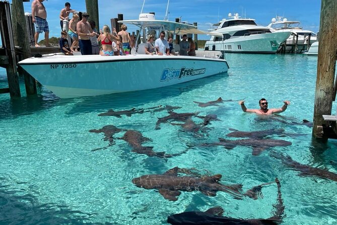 Exuma Island Hopping Swimming Pigs Tour with Lunch from Nassau - Key things to know before you go