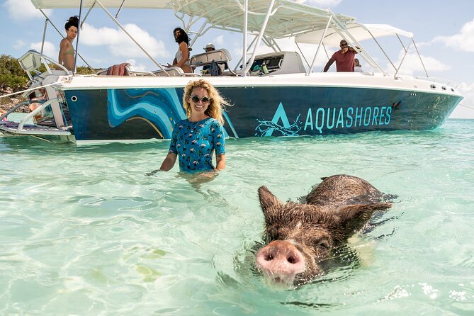 Exuma Powerboat Tour from Nassau with Swimming Pigs - Allen’s Cay rock iguanas: natural habitat and photo time