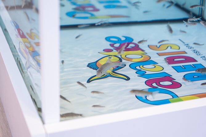 Fish, Fun & Feet – Caribbean’s Largest Fish Spa Experience! - What to Expect From the Space, Cleanliness and Comfort