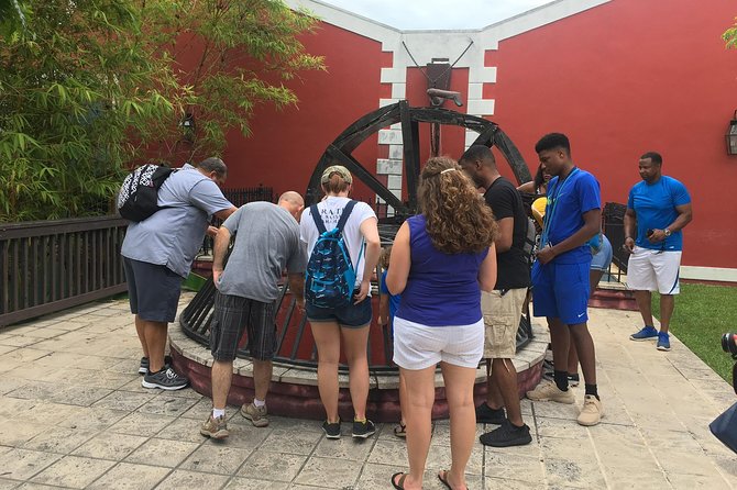 Flavors of Nassau Food Tour - Junkanoo Beach and Tasty Teas: medicinal-leaning tea tasting