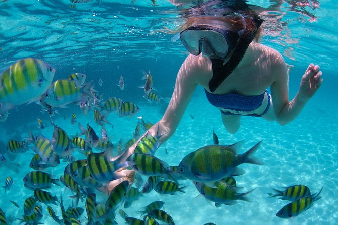 Freeport Snorkeling Peterson Cay National Park and Hotel Day Pass - Key things I’d center in your decision