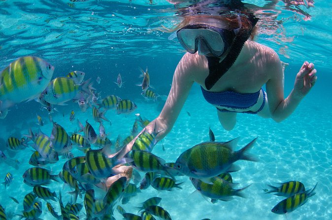 Freeport Snorkeling Peterson Cay National Park and Hotel Day Pass - Value check: is $148 worth it in real terms?
