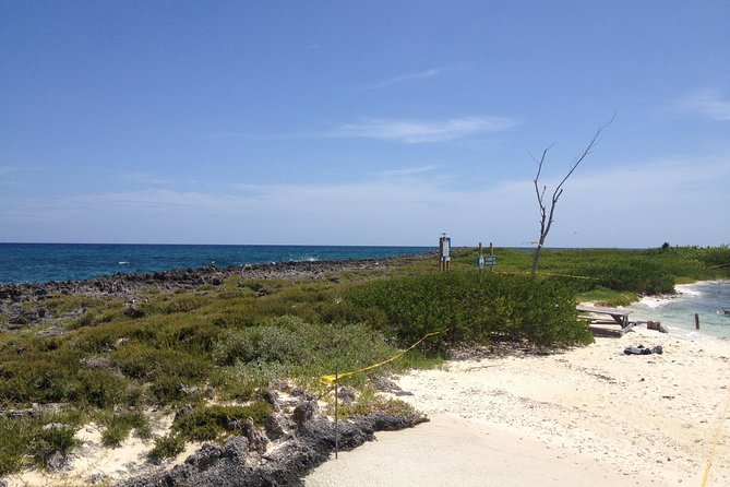 Freeport Snorkeling Peterson Cay National Park and Hotel Day Pass - Who this tour fits best (and who should rethink it)