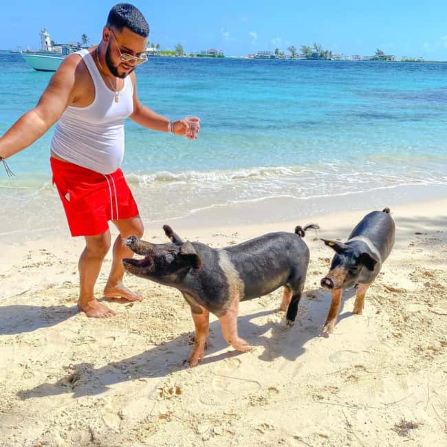 From Nassau: Swim with Pigs Safari - Key things to know before you book