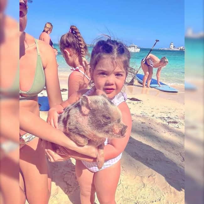 From Nassau: Swim with Pigs Safari - Who this Nassau Swim with Pigs Safari suits best