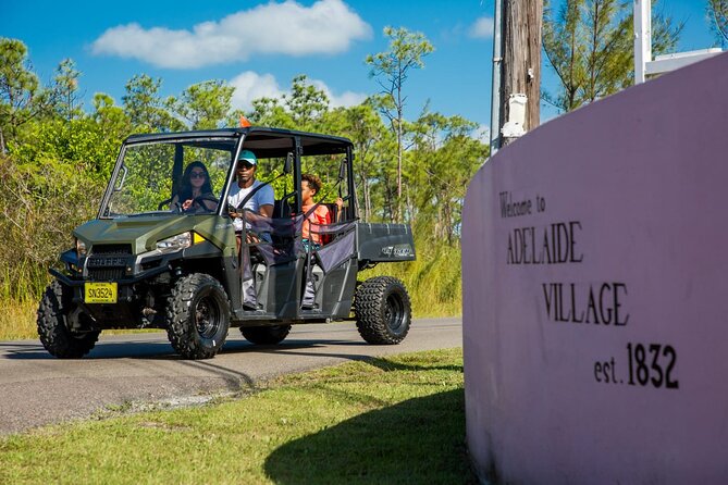Full Day Buggy Rental in Nassau - Driver requirements and safety realities you should not ignore