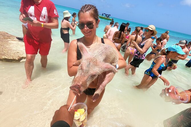 Full-Day Luxury Private Rose Island Pigs and Turtles Excursion - Key Highlights Worth Knowing