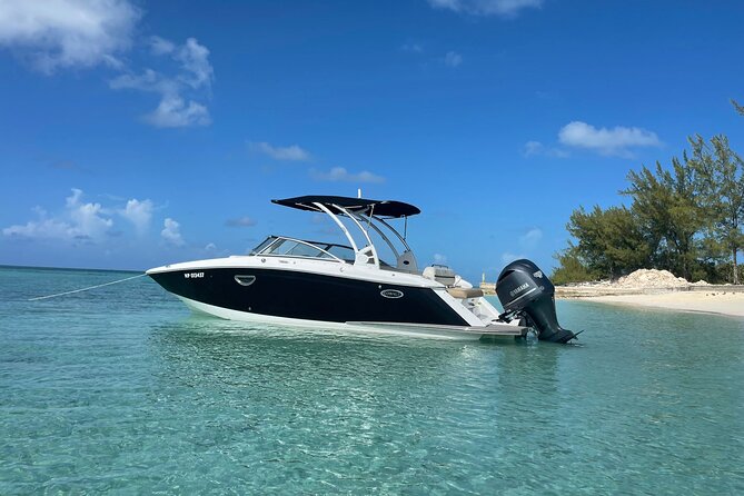 Full-Day Luxury Private Rose Island Pigs and Turtles Excursion - Snorkeling Equipment Included, and Why That Matters