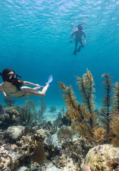 Full Day Sail and Snorkel with Turtles - Snorkeling on a catamaran anchor reef, with gear and instruction