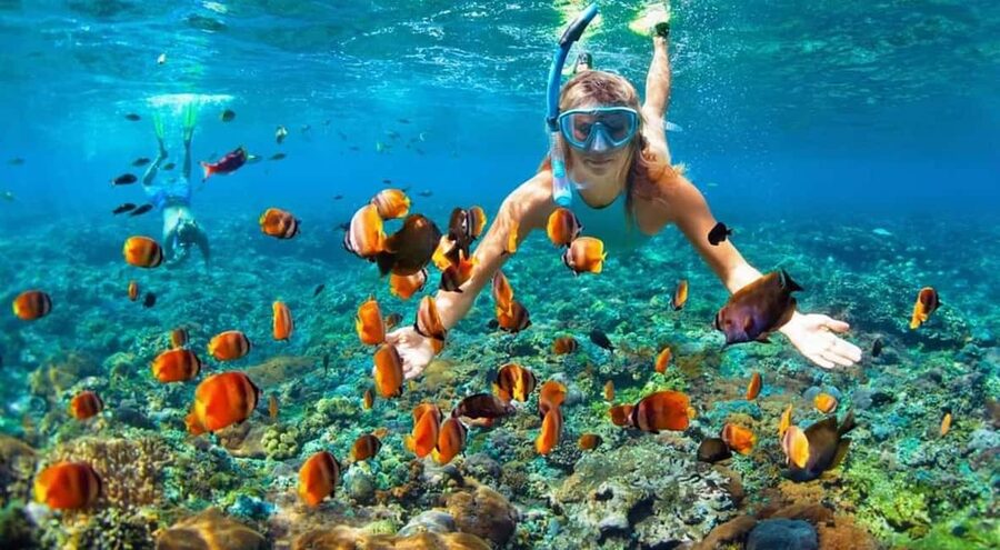 Full Day Sail and Snorkel with Turtles - Rose Island beach time: warm water, white sand, and real downtime