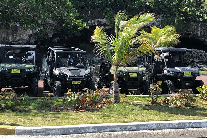 Fun Side x Side Buggy Rentals - Key things I’d bank on before you go